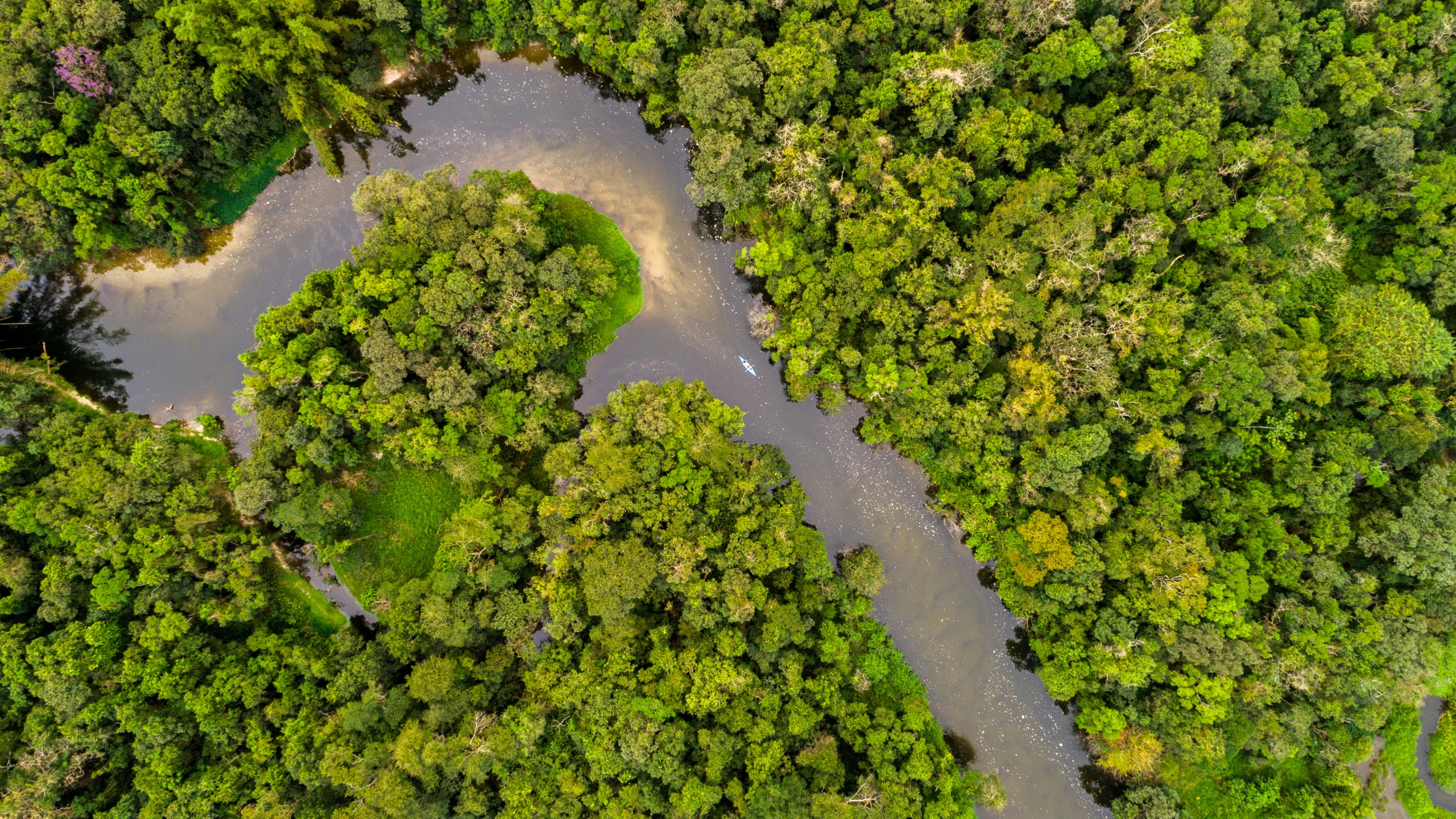 Vista aérea da floresta amazônica
